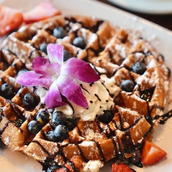 Brewed Awakening's waffle with blueberries, strawberries, whipped cream, chocolate drizzle, and a purple orchid.