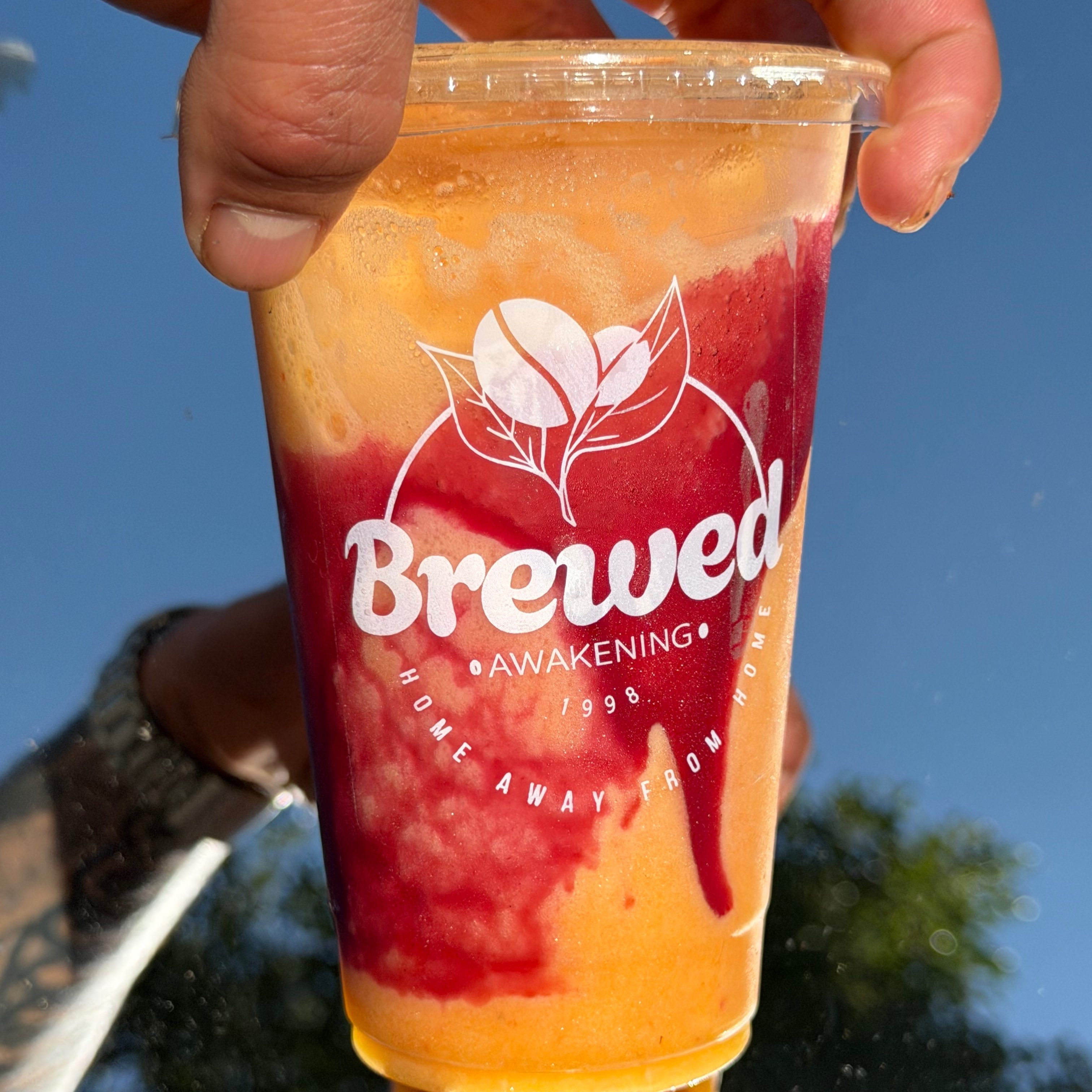 Mango Fusion.